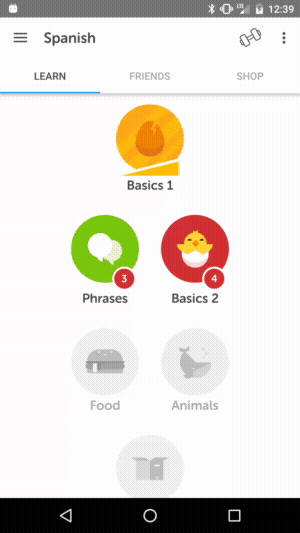 Duolingo skill, English UI