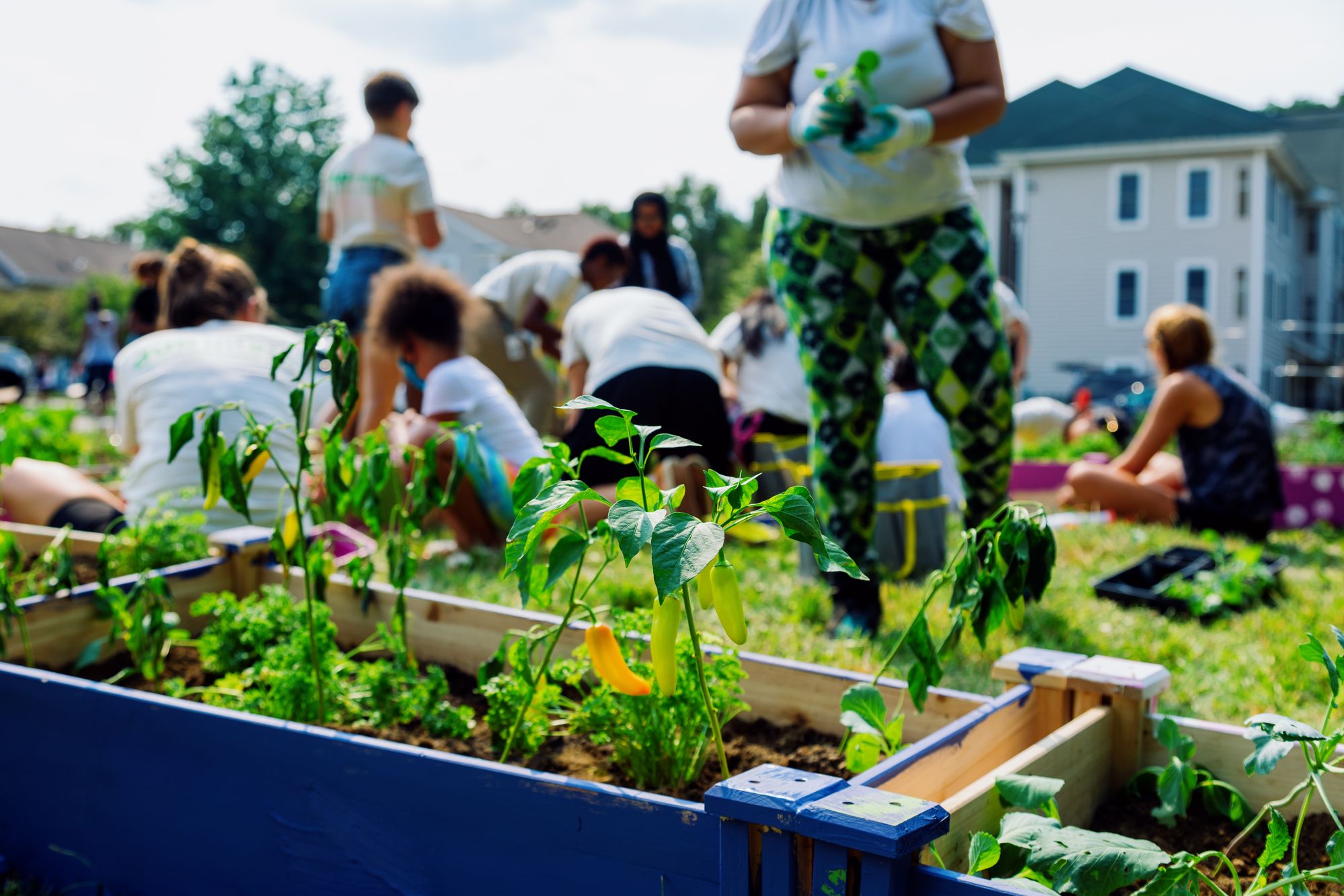 Interns and community members working together on the community garden.