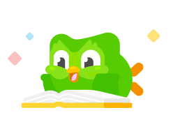 Duo the Owl reading a book
