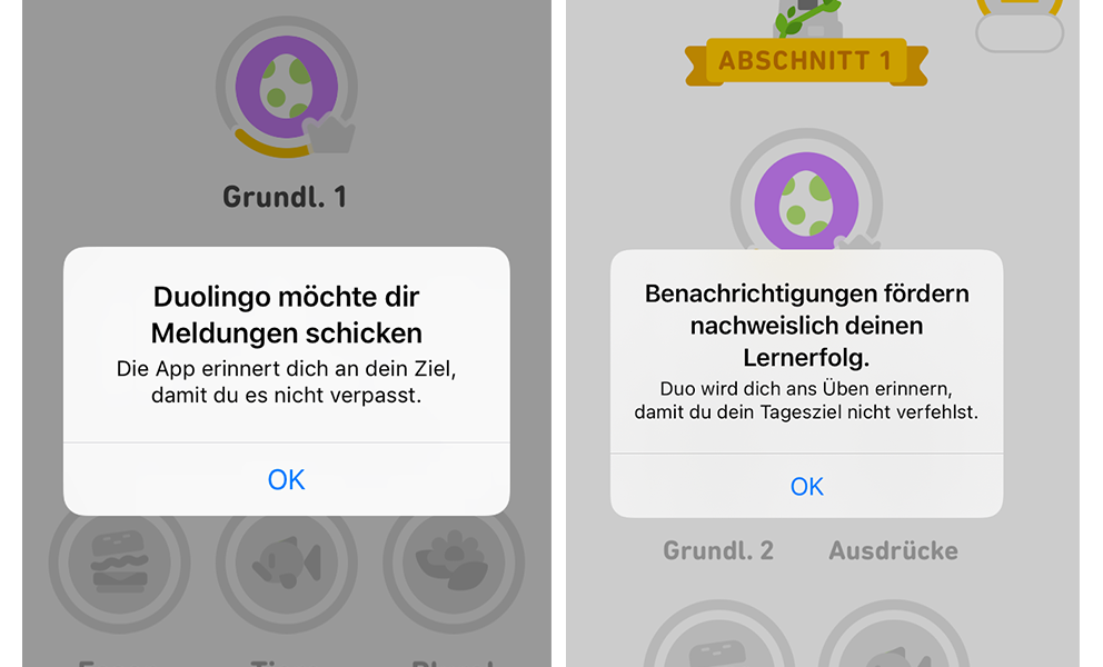 Two different messages in German asking learners to opt-in to push notifications