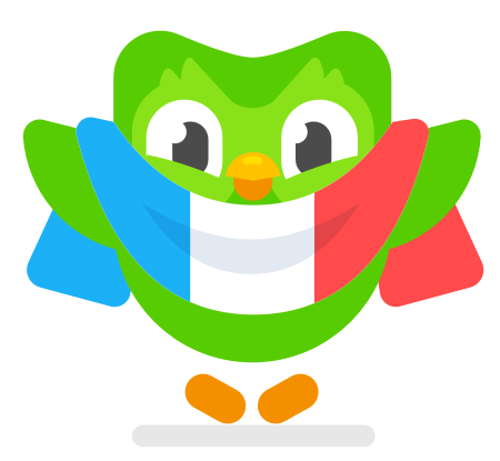 Duo the owl holding a French flag