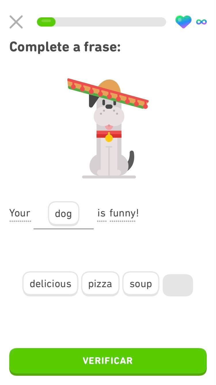 Captura de tela de um exercício do curso de inglês para quem fala português. Há um cachorro com chapéu mexicano. Abaixo, há a frase “Your dog is funny” (“O seu cachorro é engraçado”), sendo que a palavra “dog” foi escolhida pela pessoa para completar o exercício.