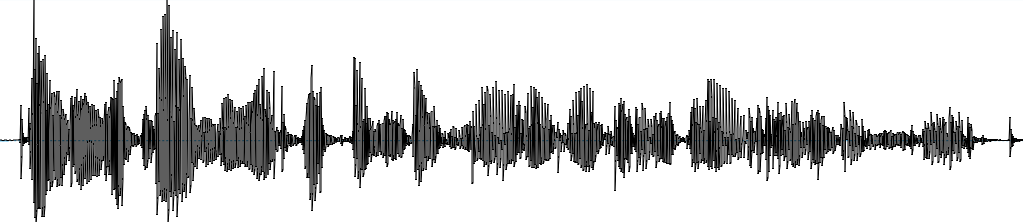Representação da onda sonora de vibrações de fala, que parece uma série de tracinhos verticais mais longos e mais curtos misturados ao longo de uma linha horizontal. Algumas partes da onda sonora têm muitos tracinhos bem longos, enquanto outras têm tracinhos bem curtos, mas praticamente não há nenhum ponto sem tracinhos (que seria o silêncio).