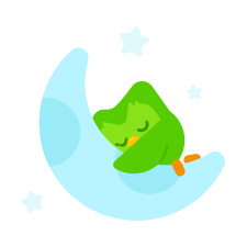 Duo the Owl asleep on a blue crescent moon