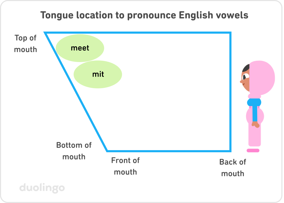 Tongue location to pronounce English vowels. There is a four-sided diagram with parallel top and bottom sides, but the bottom is shorter than the top—this represents the mouth, with the front of the mouth at the left, and the back of the mouth at the right. The character Zari is standing next to the diagram in profile view, looking to the left to match the diagram (front of the mouth to the left). There are two green circles in the diagram: one at the very top left labeled "meet" and one just below it labeled "mit."