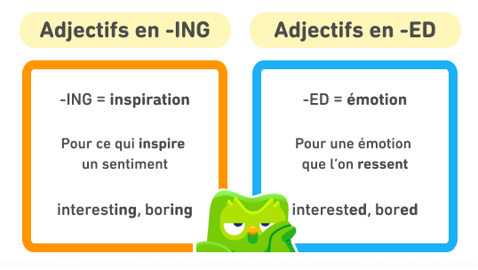 Illustration montrant un bloc orange intitulé « adjectifs en -ING » à gauche et un bloc bleu intitulé « adjectifs en -ED » à droite. Les adjectifs en -ING évoquent l’inspiration. Ils s'appliquent à ce qui inspire un sentiment, comme les adjectifs « interesting » et « boring ». Les adjectifs en -ED évoquent l’émotion. Ils s’appliquent aux émotions que l’on ressent, comme les adjectifs « interested » et « bored ». Entre les deux images se tient Duo le hibou, qui a l'air de beaucoup s’ennuyer.