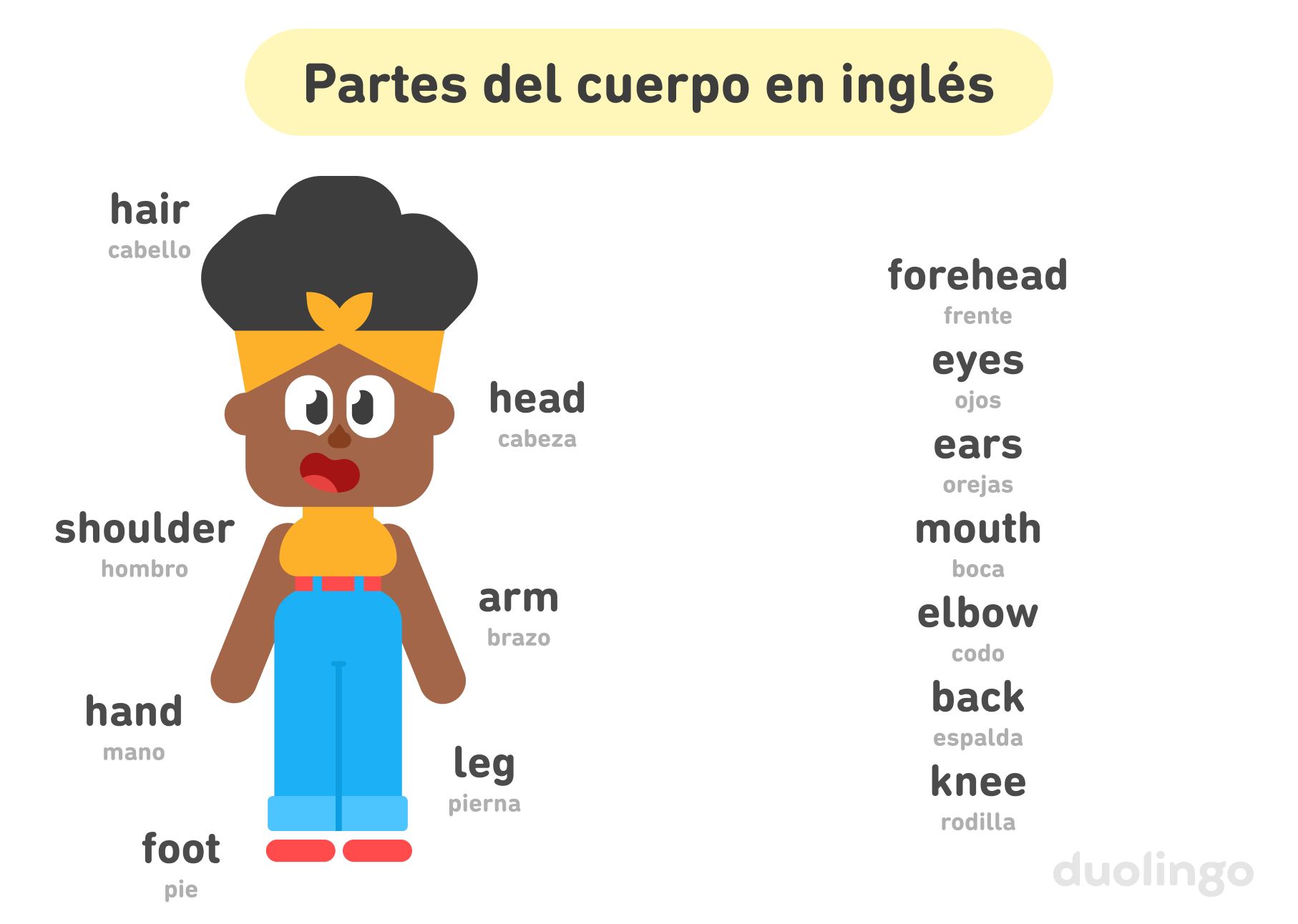 A la izquierda aparece una imagen de Bea sonriendo. Las siguientes partes de su cuerpo aparecen rotuladas en inglés y español: “hair”, “shoulder”, “hand”, “foot”, “leg”, “arm” y “head”. A la derecha aparece una lista con las siguientes partes del cuerpo en inglés y español: “forehead”, “eyes”, “ears”, “mouth”, “elbow”, “back” y “knee”. El título de la imagen es “Partes del cuerpo en inglés”.