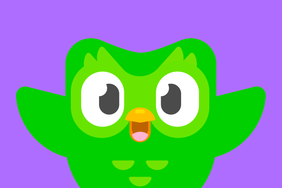 Illustration of Duo the owl with open arms, looking excited