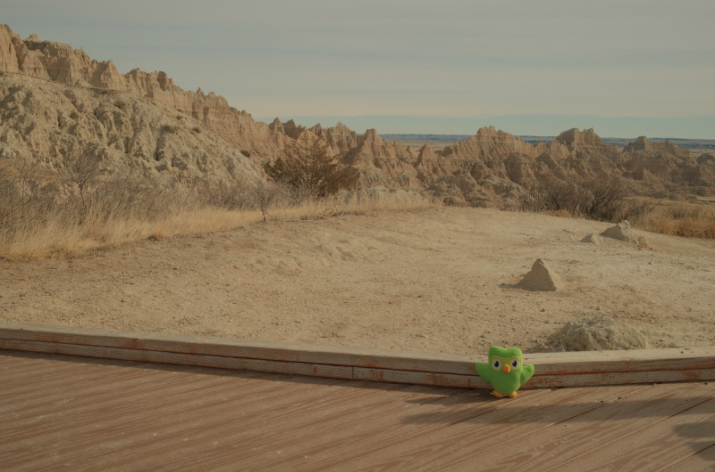 A small Duo plushie on a wooden walkway overlooking a scenic vista in Badlands National Park.