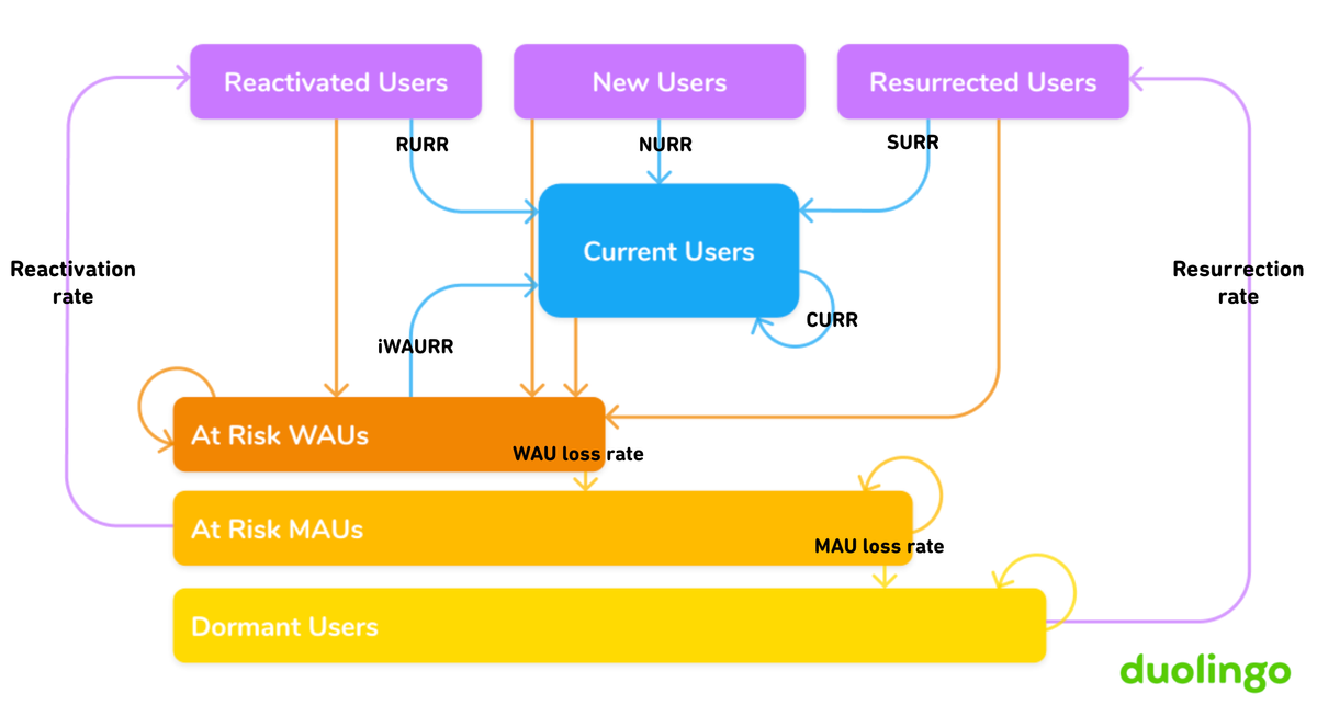 How Duolingo reignited user growth - by Jorge Mazal